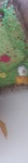 Dsc 0267