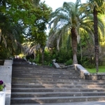 Izobrazhenie 274