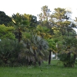 Izobrazhenie 342