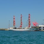 Izobrazhenie 457