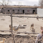 Dsc01843