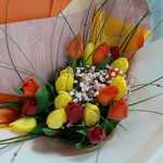 Whatsapp image 2022 03 05 at 10 08 06